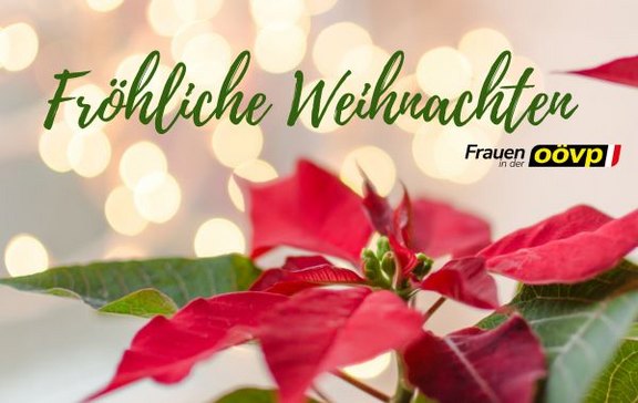 HP-Weihnachten_Seite_1.jpg  